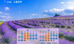 2026年6月7月スケジュール